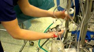 Clinical Perfusion  Setting up heartlung bypass machine [upl. by Nnylsaj]