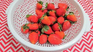 Como Desinfectar o Lavar Fresas Correctamente 🍓 HowToCleanStrawberriesCorrectly FruitmasDia8 [upl. by Annora]