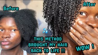 THIS METHOD BROUGHT MY HAIR BACK TO LIFE  I tried the MAXIMUM HYDRATION METHOD and I’m speechless [upl. by Eimat]