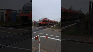 BR 644 der Deutsche Bahn am Bahnübergang in Grenzach deutschebahn trainspotting shorts yt [upl. by Ameehsat]