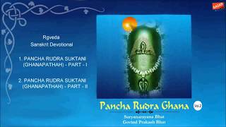 Pancha Rudra Ghana Part 2 Govind Prakash Bhat [upl. by Rebma79]