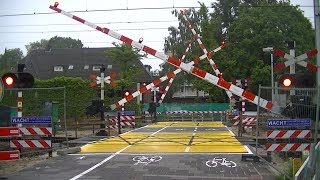 Spoorwegovergang Bilthoven  Dutch railroad crossing [upl. by Ocirederf]