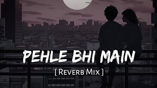 Pehle Bhi Main Slowed  Reverb  Vishal Mishra  Animal  Lofi [upl. by Lewert]