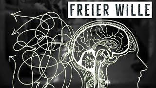 Freier Wille amp Determinismus – Warum ich das Problem nicht verstehe [upl. by Gainer]