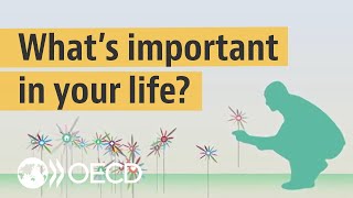 Interactive Better Life Index Measuring what matters to you [upl. by Eiznikam]