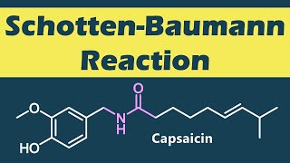ショッテン・バウマン反応SchottenBaumann Reactionの反応機構【カプサイシンの合成】 [upl. by Neelyhtak]