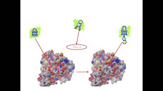 Structure Based Drug Design  Molecular Docking [upl. by Saibot]