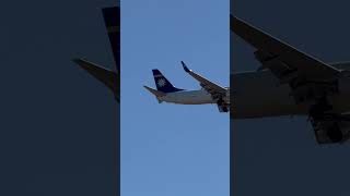 Spot out Plane Landing [upl. by Alhak]