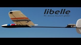 DreamFlight Libelle DLG Review  RCGroupscom [upl. by Tharp]