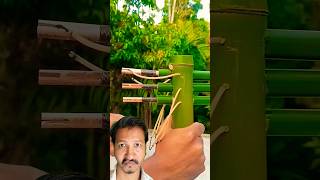 Bamboo creation arrows😲bamboo slingshot greenscreen green reaction reactionvideo shorts [upl. by Tabbi]