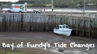 Bay of Fundys Radical Tide Swings [upl. by Sabra137]