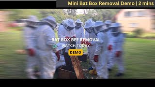 Bat Box Bee Removal  Commercial Bee Removal Highlights  beeremoval bees [upl. by Silado]