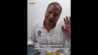 Hatv Correa le dice inepto a Daniel Noboa [upl. by Tabatha]