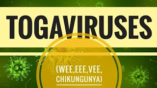 Togaviruses Western Eastern amp Venezuelan Equine Encephalitis viruses and Chikungunya virus [upl. by Alurd]