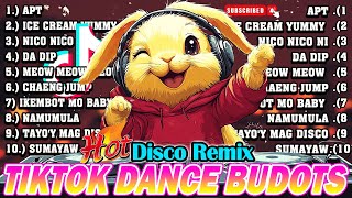 New VIRAL TIKTOK DISCO PARTY 2024  NEW TIKTOK BUDOTS DANCE REMIX 2024 [upl. by Darcia878]