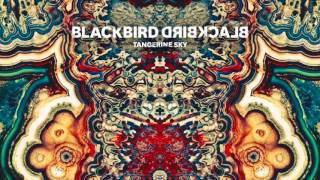 Blackbird Blackbird  Summers Almost Here [upl. by Ardnoik]