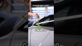 ¡Coches de Lujo se Encuentran con un Camaleón 🚗✨  Ayuda a los Animales 🐾 VideoViral [upl. by Annyl]