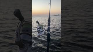 Fishing setup Lure amp Rod😍🔥castingfishingviralreelsfishingvideofishinglifeshortsvideoshorts [upl. by Ludwig]