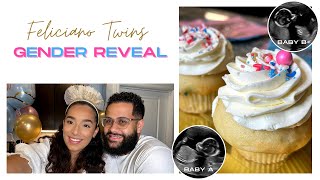 Fraternal TWINS CUPCAKE GENDER REVEAL 🧁  Funny Emotional amp MESSY  Feliciano Twins [upl. by Ynnob]