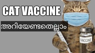 all about cat vaccine  വാക്സിൻ അറിയേണ്ടതെല്ലാം Persian cat Malayalam [upl. by Siusan]