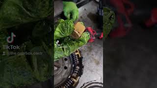 Ford Powershift teardown automobile mechanic gearbox [upl. by Maxima]