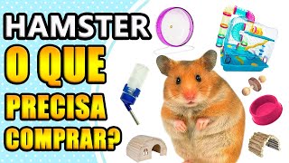 O que é necessário comprar para ter um hamster [upl. by Yvon]