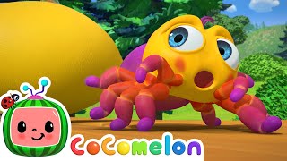 Itsy Bitsy Spider  CoComelon Nursery Rhymes amp Animal Songs [upl. by Gefen]