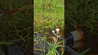 Amazing Hand Hook Fishing Challenge😎 New Style Fishing Techinques fishingvideo fishing shorts [upl. by Atenaz59]