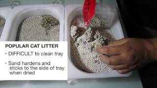 Compare the strength of clumping litter for cats  Canada Cat Litter [upl. by Swithin]