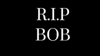 RIP BOB [upl. by Harlie]