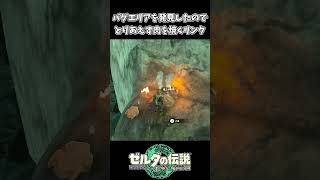 【ティアキン】バグエリアを見つけたので肉を焼くリンク【ゼルダの伝説 ティアーズ オブ ザ キングダム】 [upl. by Ahras]