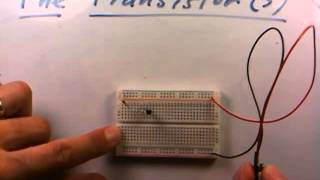 elec 026 2 build transistor circuit with two leds [upl. by Herahab]