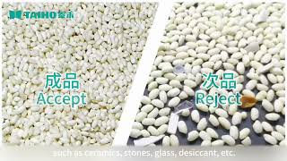 TAIHO AI Intelligent Sort Observation Pro Series Color Sorter for Glutinous Rice [upl. by Ahcsap]