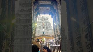 Thiruvannamalai temple facts girivalam thiruvannamalai powerful miracle sivan thelastcholas [upl. by Shreve]