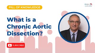 What is a Chronic Aortic Dissection [upl. by Margaret]