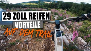 29 Zoll Mountainbike reifen auf Wurzel Trail  Trail Enduro Tour  Sender Steve übernimmt [upl. by Erme]