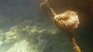 Descubra as Maravilhas Subaquáticas de Porto de Galinhas Mergulho com Peixes e Corais 🌊🐠 [upl. by Chapel]