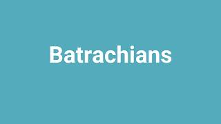 Batrachians Meaning and Pronunciation [upl. by Lapotin961]