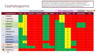 Bacteremia and Clinical Resistance Objective 2 [upl. by Selassie]