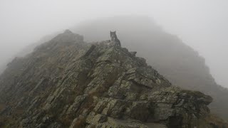 Sharp Edge Blencathra November 1st 2024 [upl. by Holzman]