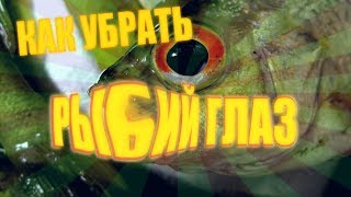 Как убрать fisheye  эффект рыбий глаз в After Effects и Sony Vegas [upl. by Santa488]