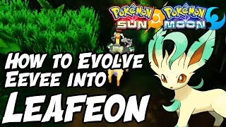 How to Evolve Eevee into Leafeon in Pokémon Sun and Moon [upl. by Ardnassela166]