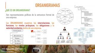 Organigramas [upl. by Zeitler]