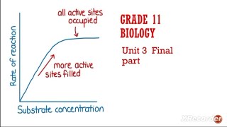 Biology Grade 11 Enzyme Finalpart [upl. by Lissy]