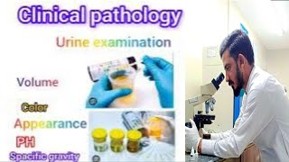 What is Urine RE Test [upl. by Shaum968]