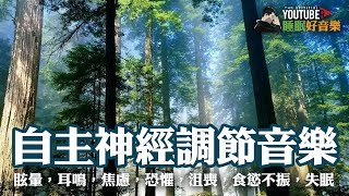 睡眠好音樂 自律神經調節音樂 有助阻止頭暈，耳鳴，焦慮，恐懼，沮喪，食慾不振，失眠，抑鬱 α波＋θ波 潛意識力量 [upl. by Fife]