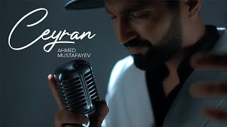 Ahmed Mustafayev — Ceyran Rəsmi Musiqi Videosu  2023 [upl. by Enirehtac]