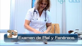 🌟EXAMEN DE PIEL Y FANÉREOS EN EL LACTANTE🌟 [upl. by Lamberto]