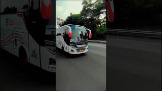 Tersedia Medium bus dari ukuran 29313335 Seat amp Medium Luxury 18 Seat Legres sewabusmurah [upl. by Christine]