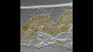 Peristalsis Movement In Nematode Worms Under Microscope [upl. by Past]